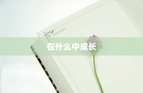在什么中成长