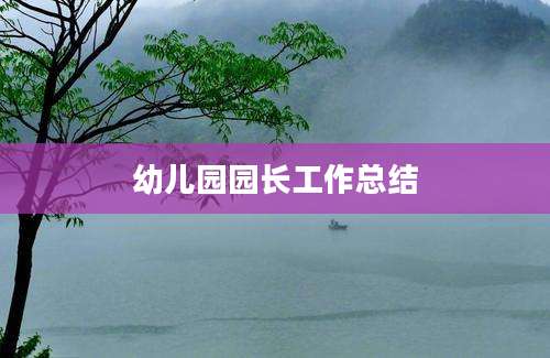幼儿园园长工作总结