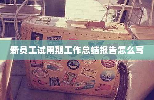 新员工试用期工作总结报告怎么写