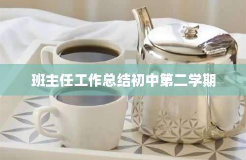 班主任工作总结初中第二学期