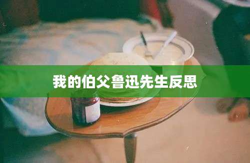 我的伯父鲁迅先生反思