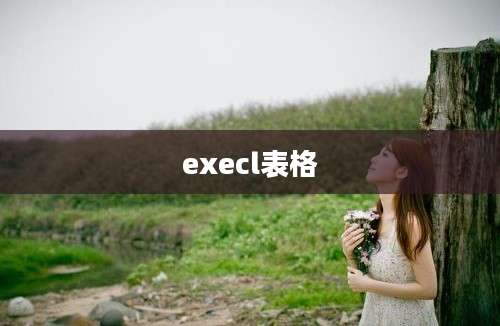 execl表格