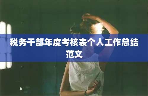 税务干部年度考核表个人工作总结范文