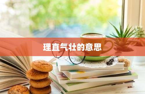 理直气壮的意思
