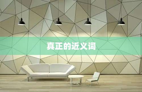 真正的近义词