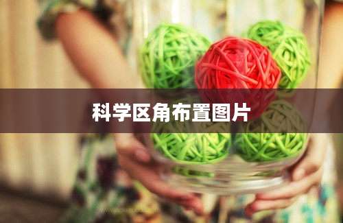 科学区角布置图片