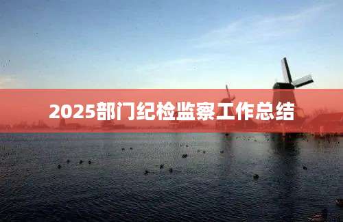 2025部门纪检监察工作总结