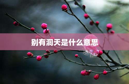 别有洞天是什么意思