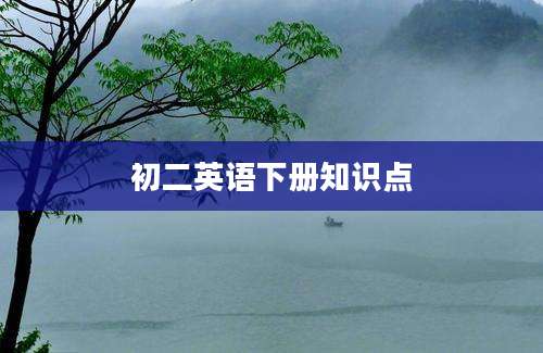 初二英语下册知识点