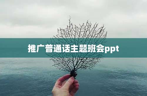 推广普通话主题班会ppt