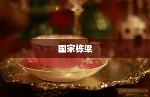 国家栋梁