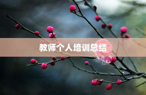 教师个人培训总结