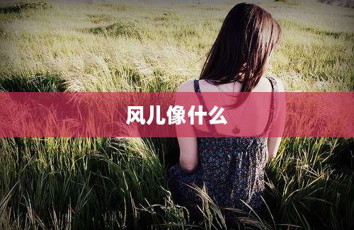 风儿像什么