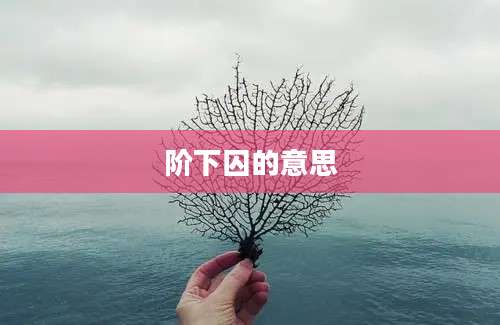 阶下囚的意思