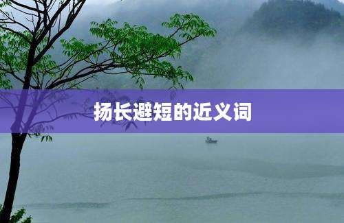 扬长避短的近义词