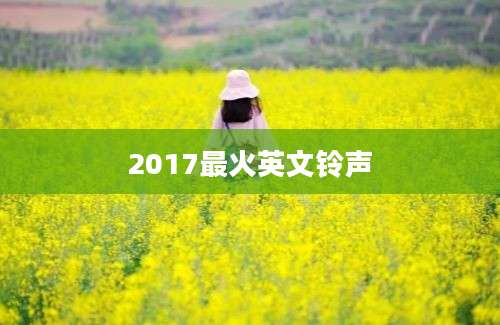 2017最火英文铃声