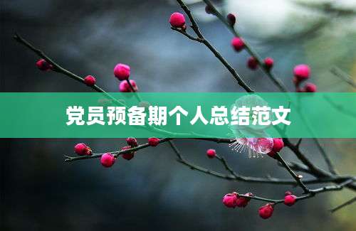 党员预备期个人总结范文
