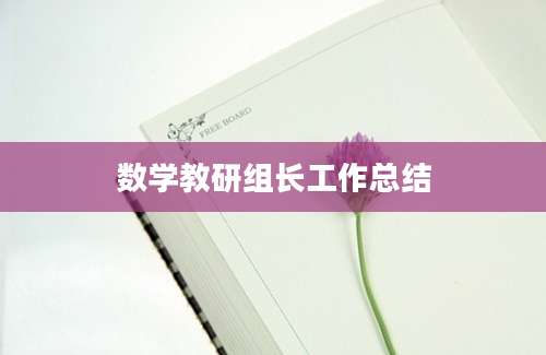 数学教研组长工作总结