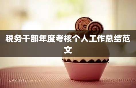 税务干部年度考核个人工作总结范文