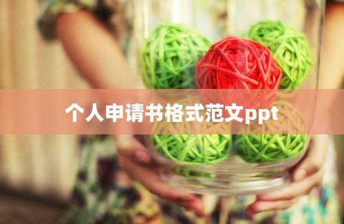 个人申请书格式范文ppt