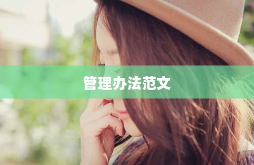 管理办法范文