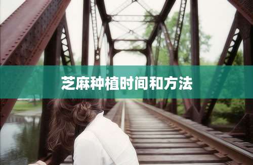 芝麻种植时间和方法