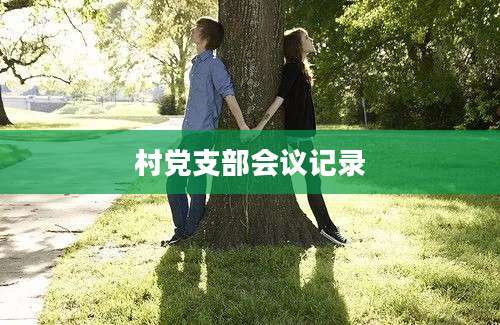 村党支部会议记录