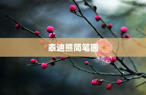 泰迪熊简笔画