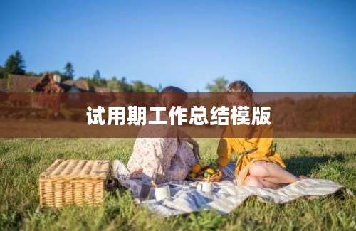 试用期工作总结模版