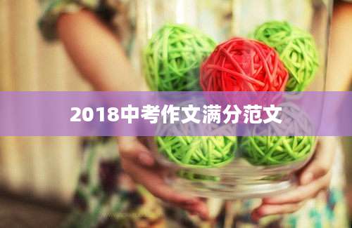 2018中考作文满分范文