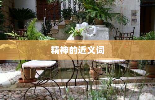 精神的近义词