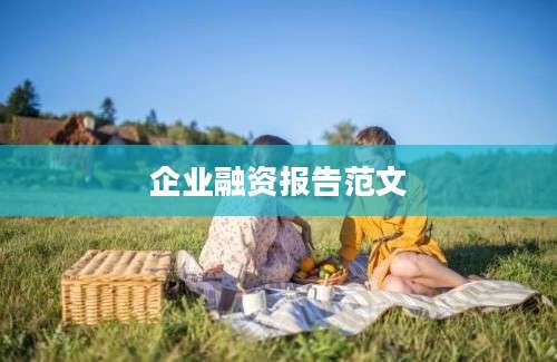 企业融资报告范文