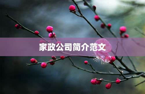 家政公司简介范文