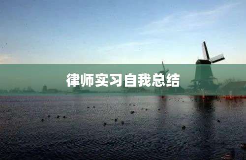 律师实习自我总结