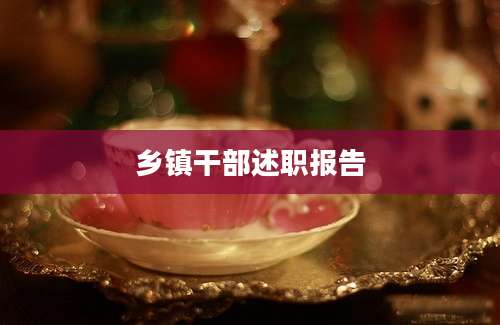 乡镇干部述职报告