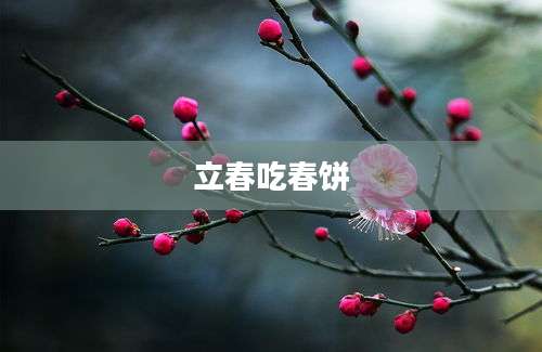 立春吃春饼