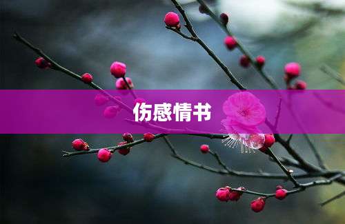 伤感情书