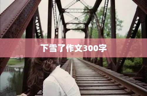 下雪了作文300字
