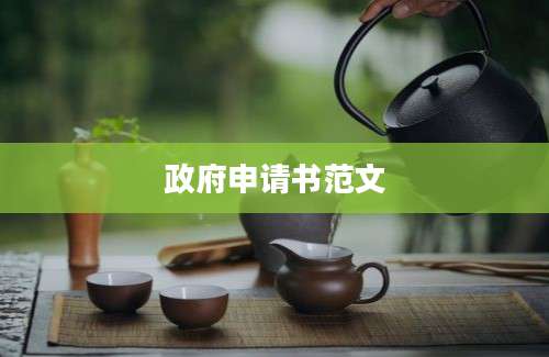 政府申请书范文