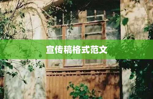 宣传稿格式范文