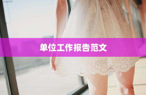 单位工作报告范文