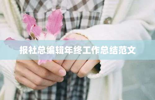 报社总编辑年终工作总结范文