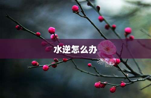 水逆怎么办