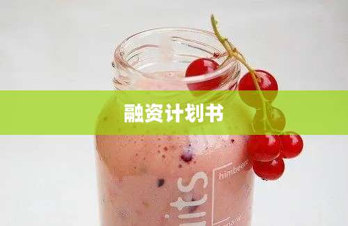 融资计划书