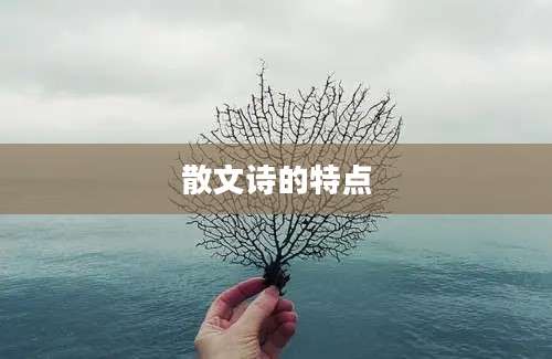 散文诗的特点