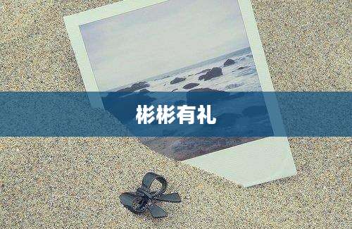 彬彬有礼