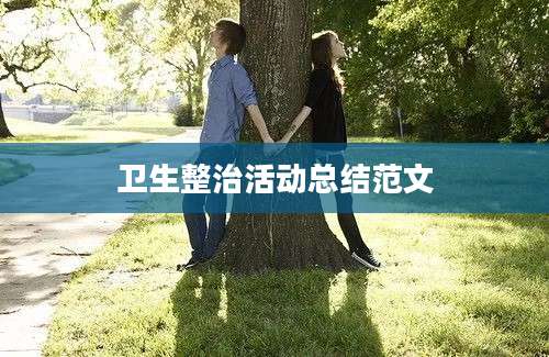 卫生整治活动总结范文