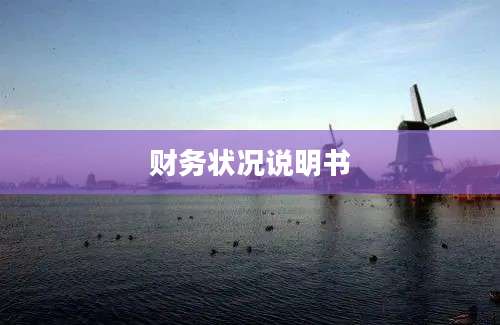 财务状况说明书