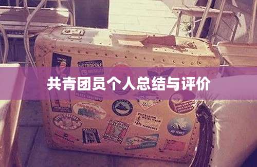 共青团员个人总结与评价