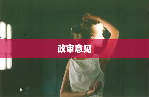 政审意见
